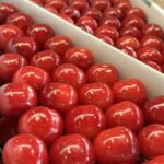 山形県産「露地さくらんぼ」が最盛期を迎えています！！